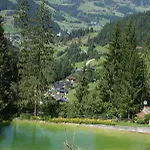 Bergseegut
