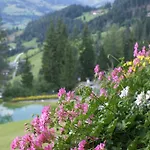 Bergseegut 3*
