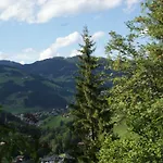 Bergseegut