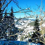 Bergseegut