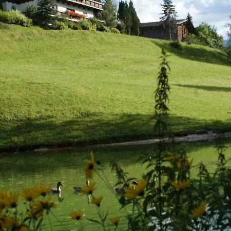 Bergseegut