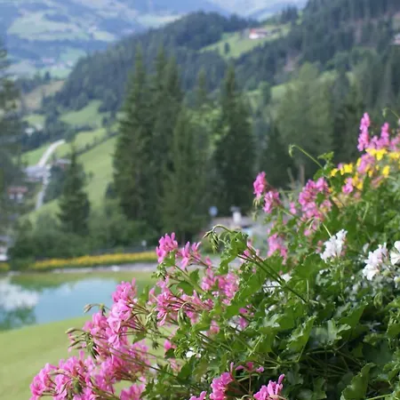 Bergseegut 3*