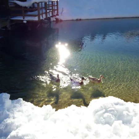 Bergseegut Wagrain