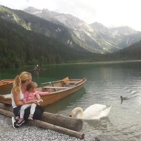 Bergseegut