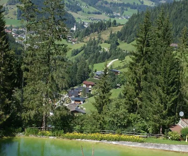 Bergseegut